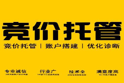 Sem优化公司案例：打造高效广告投放方案
